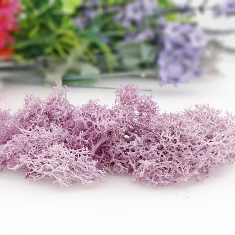 Decorations Artificial Plant Eternal Life Moss Mini Garden Micro Landscape Accessories Home Decoration
Decorations Artificial Plant Eternal Life Moss Mini Garden Micro Landscape Accessories Home Decoration