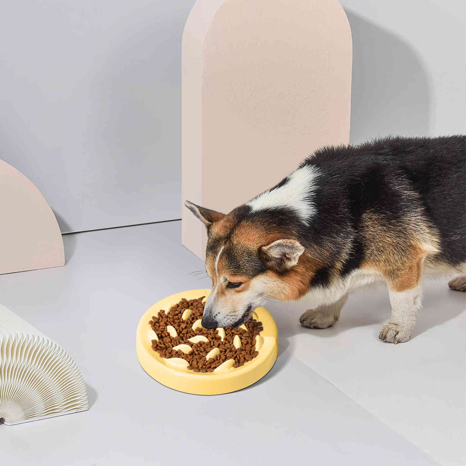 Quality Dog Bowl Slow Feeder Durable Eco-friendly Nonslip Slow Feeding Pet Bowl For Small Medium Large Dogs Puppy Eating