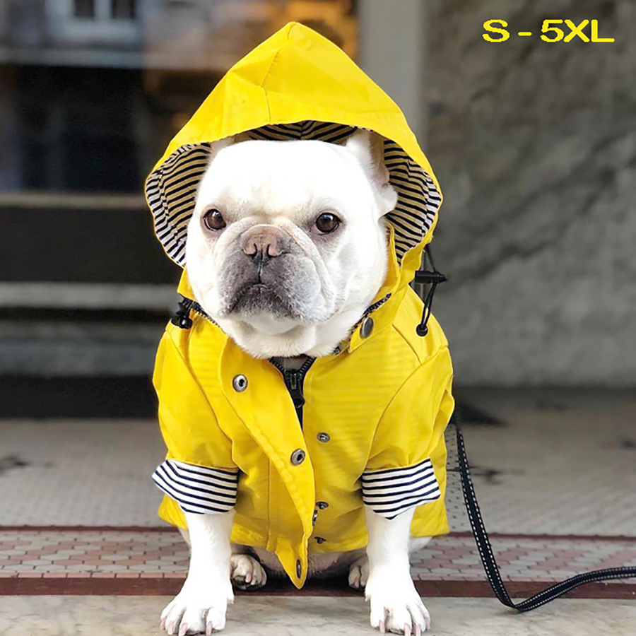 Pet Dog Coat Waterproof Jacket for Sma Medium arge Dogs Cats Pet Raincoat Dog Sport Hoodies Popa Perro Pet Fashion Cothes, Yellow
Pet Dog Coat Waterproof Jacket for Sma Medium arge Dogs Cats Pet Raincoat Dog Sport Hoodies Popa Perro Pet Fashion Cothes, Yellow