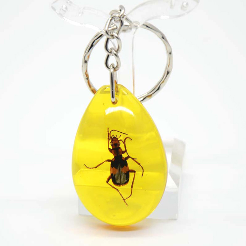 Artificial Insects Hanger Creative Souvenir Specimens Key Hangers Women Scorpion Keyholder Zak Car Accessories Gifts, Slivery;golden
Artificial Insects Hanger Creative Souvenir Specimens Key Hangers Women Scorpion Keyholder Zak Car Accessories Gifts, Slivery;golden