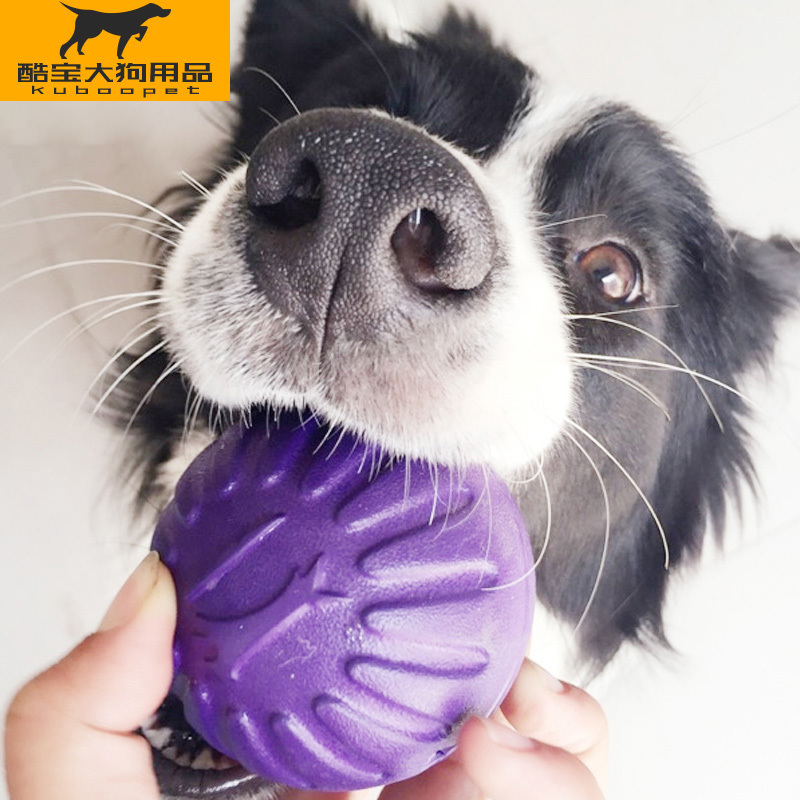 Dog toy star tactic, foam ball, bite, molar, golden puppy, dog, Teddy, multicolored pet toy.
Dog toy star tactic, foam ball, bite, molar, golden puppy, dog, Teddy, multicolored pet toy.