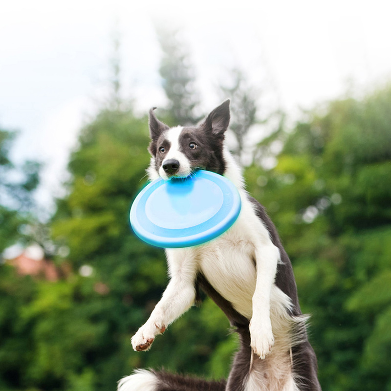 1 Pc Interactive Dog Chew Toys Resistance Bite Soft Puppy Pet Toy for Dogs Pet Training supplies Dog Flying Discs