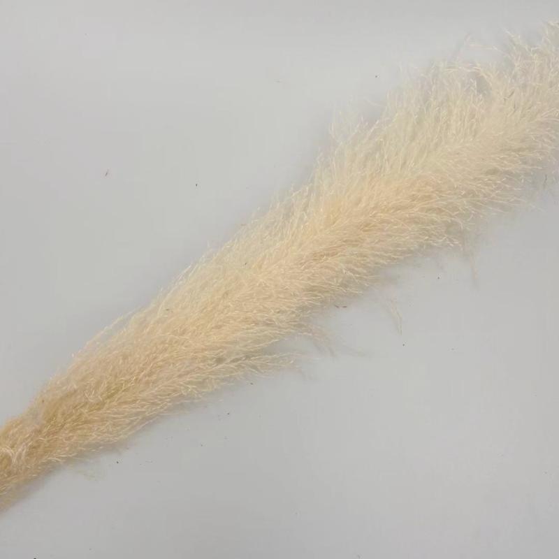 Decorative Flowers & Wreaths 140CM 10Pcs/lot Natural Large Pampas Grass Decor Real Artificial Dried Bouquet Wedding Supplies Christmas
