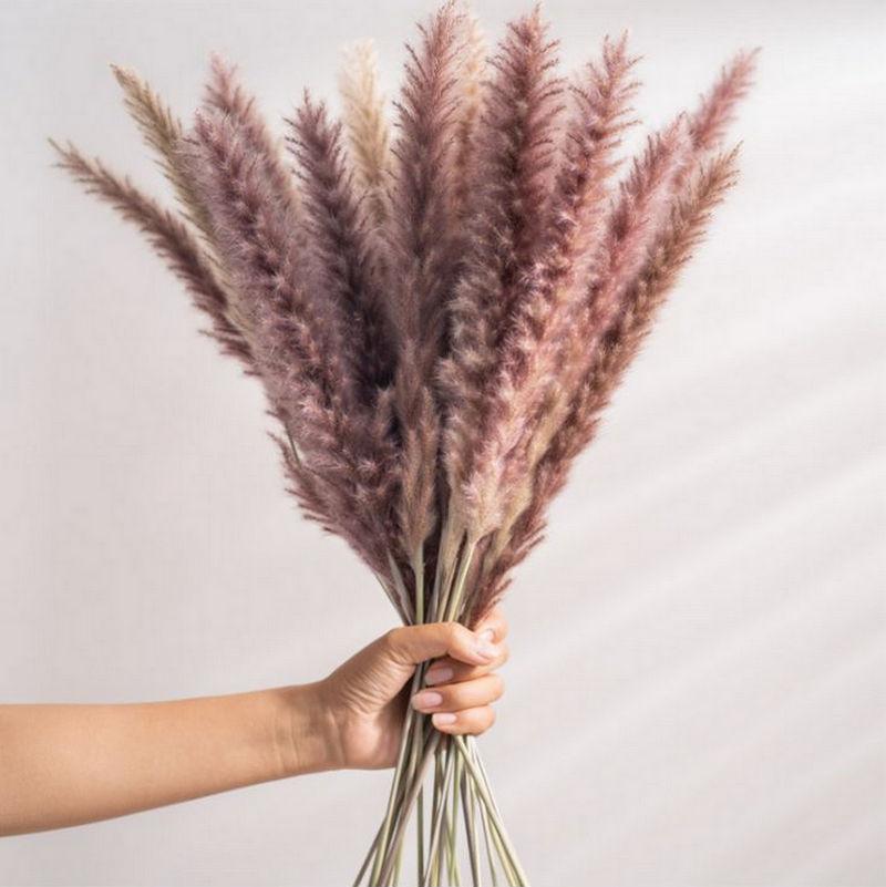 15Pcs Decoration Pampas Grass Large Real Dried Reed Flower Bouquet Home Plants Table Flores Preservadas Natura Decorative Flowers & Wreaths