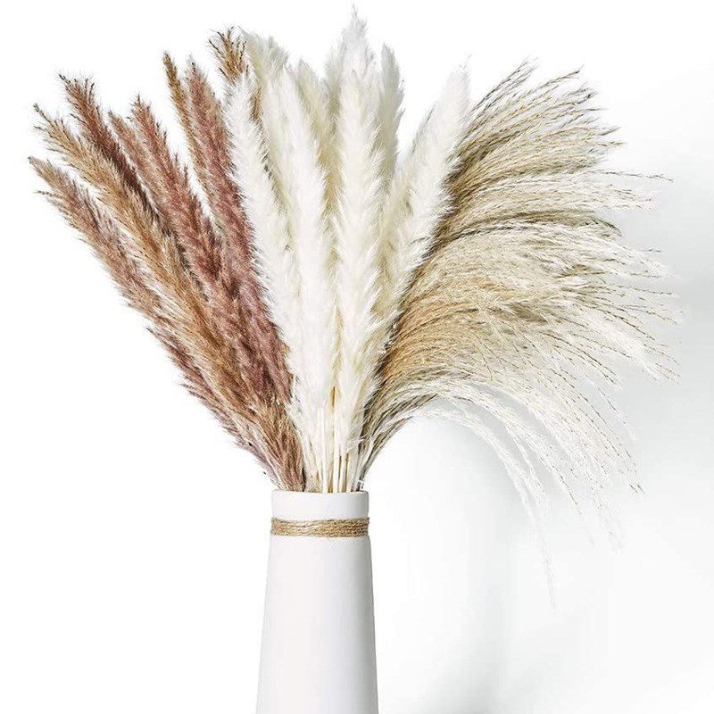 Decor Dried Natural Flowers Pampas Grass Fiori Secchi Reed Phragmites Plants Bouquet For Wedding Party Home Table Decoration, 2 colors
Decor Dried Natural Flowers Pampas Grass Fiori Secchi Reed Phragmites Plants Bouquet For Wedding Party Home Table Decoration, 2 colors