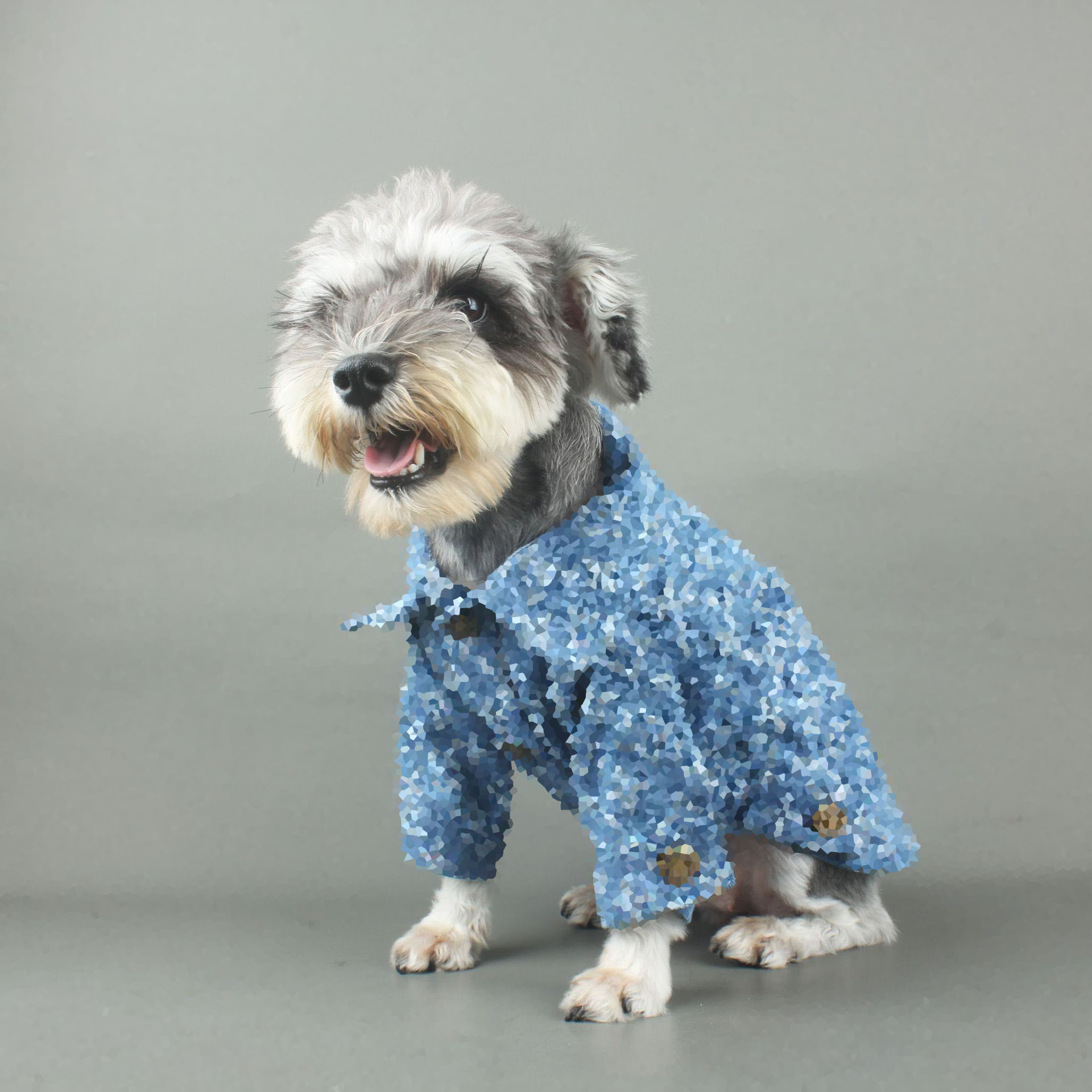 Dog Apparel Classic Cowboy Denim Letters Print Puppy Outerwears Fashion Brand Designer Casual Spring Fall Dogs Coat Soft Warm Elegant Teddy Schnauzer Coats, Blue
Dog Apparel Classic Cowboy Denim Letters Print Puppy Outerwears Fashion Brand Designer Casual Spring Fall Dogs Coat Soft Warm Elegant Teddy Schnauzer Coats, Blue