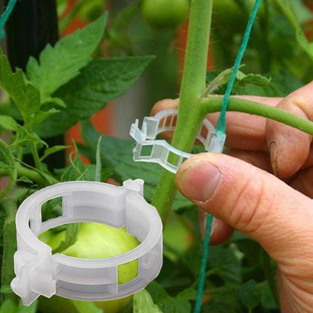 50pcs Reusable Plastic Plant Fixing Clips Hanging Vine Connects Plants Protection Grafting Gardening For Vegetable Fruit Tomato Y0729
50pcs Reusable Plastic Plant Fixing Clips Hanging Vine Connects Plants Protection Grafting Gardening For Vegetable Fruit Tomato Y0729