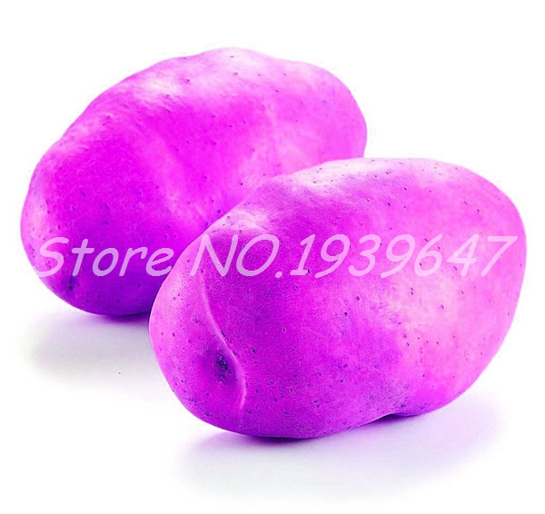 New Arrival100 Pcs seeds Giant Potato Bonsai, Rare Non-Gmo Vegetable Potted Giant Outdoor Plant For Home Garden Flower Easy to Grow Natural Growth Variety of Colors
New Arrival100 Pcs seeds Giant Potato Bonsai, Rare Non-Gmo Vegetable Potted Giant Outdoor Plant For Home Garden Flower Easy to Grow Natural Growth Variety of Colors