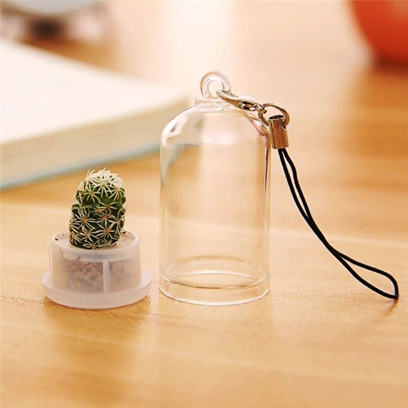 2PCs Random Mini Succulent Cactus Plant Keyring Charm Green Fleshy Plant Pendant Keychain with Glass Cover Craft Gifts for Women