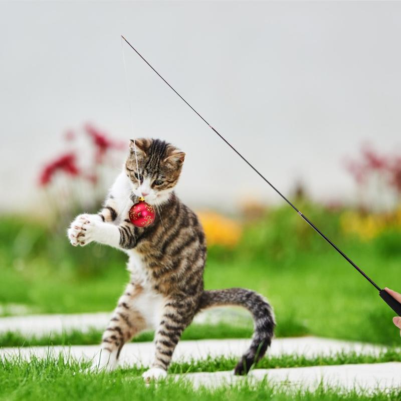 Cat Teaser Wands, Retractable Fishing Pole Wand Stick Rod Toy Toys