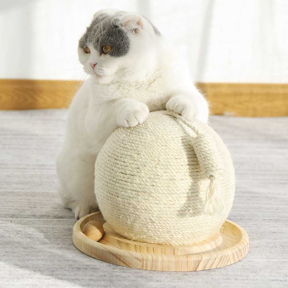 !Cactus Shape Cat Scratcher Circle Track With Moving Balls Cats Interactive Toys Funny Ball Funny Pet Toy Pet Scratch 210929