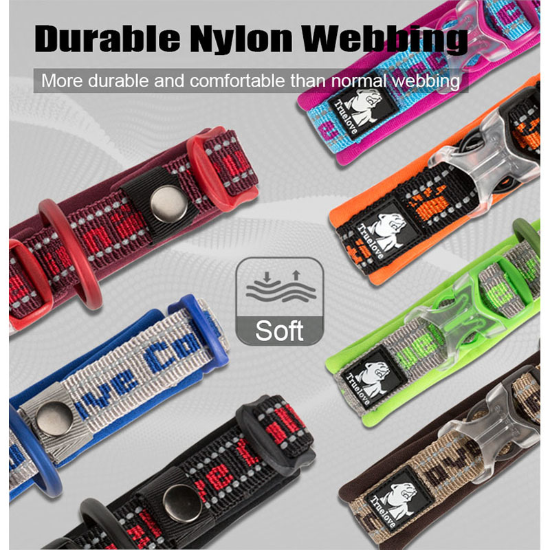 Truelove Best Nylon Pet Dog Collars And Leashes Reflective Embroidery For Small Large Dogs Popular Unique Male Female Puppy