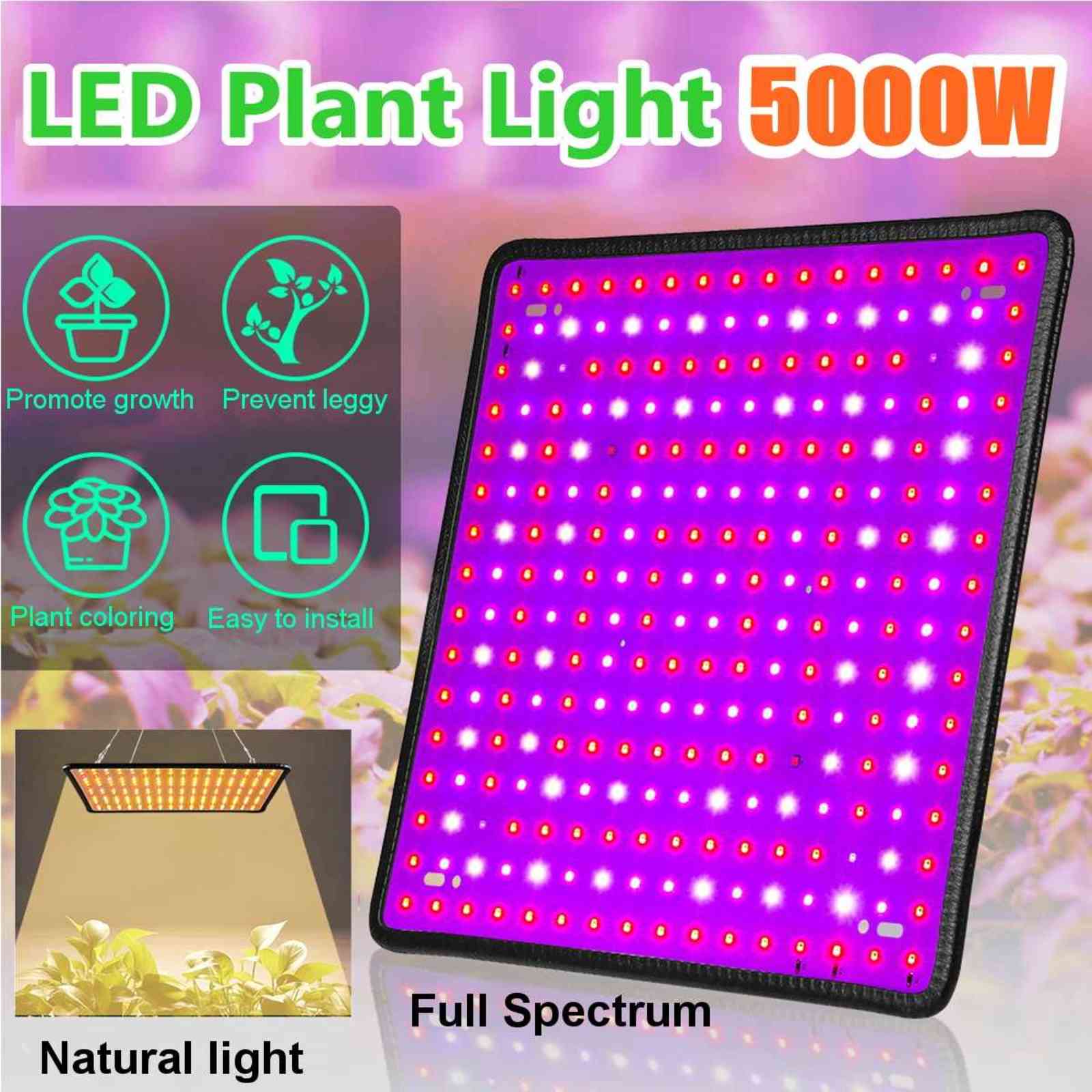 256 LEDs 5000W Grow Light Full Spectrum Plant Veg Bloom Lamp Indoor ing Greenhouse for Garden
256 LEDs 5000W Grow Light Full Spectrum Plant Veg Bloom Lamp Indoor ing Greenhouse for Garden