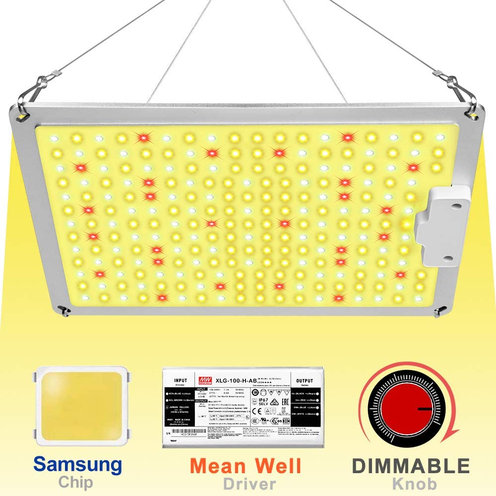 Full Spectrum Samsung Quantum Led Grow Light 1000W 3000K+5000K+660NM+IR For Plant Veg/Bloom With Dimmer
Full Spectrum Samsung Quantum Led Grow Light 1000W 3000K+5000K+660NM+IR For Plant Veg/Bloom With Dimmer