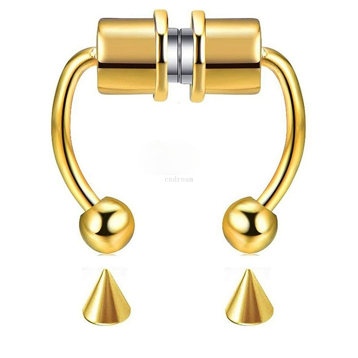 Anti Allergy Stainless Steel Clip on Nose Rings Magnet Studs Gold Rainbow No Hole Ring Body Jewelry for Women Fashion Will and Sandy, Silver
Anti Allergy Stainless Steel Clip on Nose Rings Magnet Studs Gold Rainbow No Hole Ring Body Jewelry for Women Fashion Will and Sandy, Silver