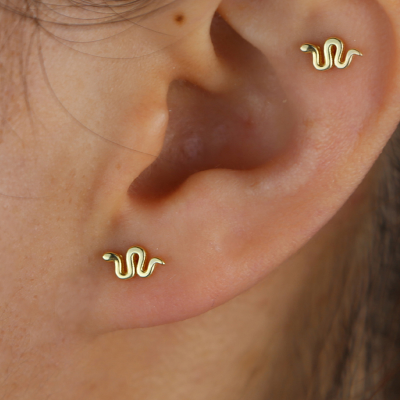 Stud 2021 Women 's Earrings Fashion Snake Shape 100% 925 Sterling Sier Wild Trendy Cute Korean Indian Jewelry
Stud 2021 Women 's Earrings Fashion Snake Shape 100% 925 Sterling Sier Wild Trendy Cute Korean Indian Jewelry