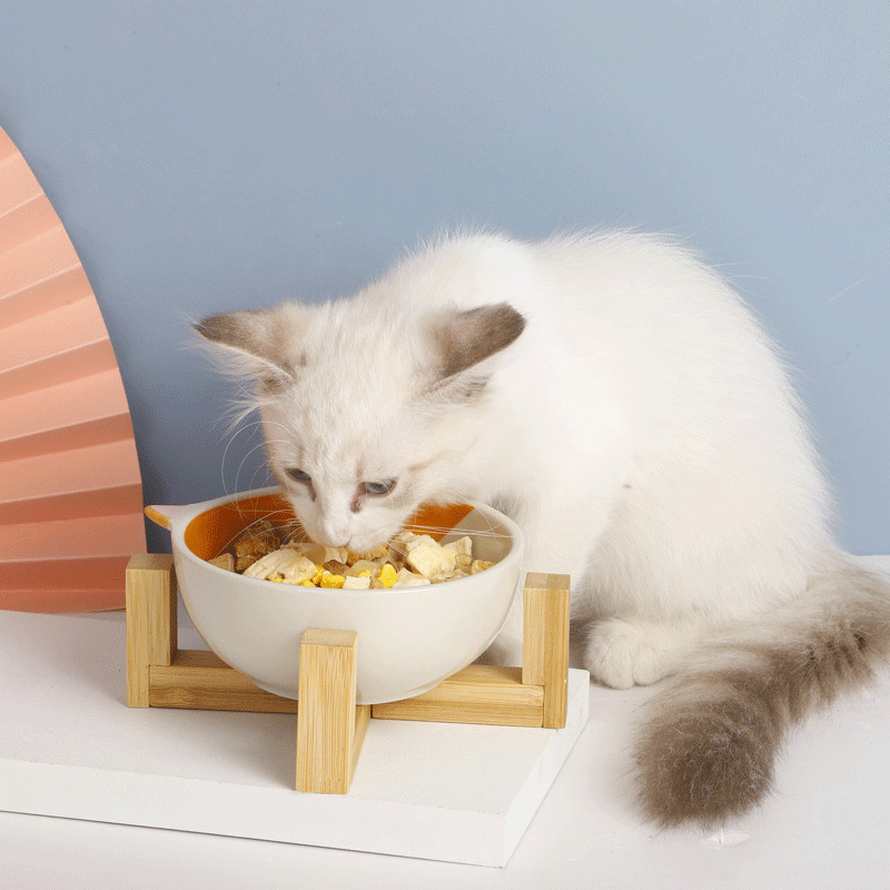 Cute Animal Pets Bowl Dog Cat Food Water Feeder Puppy Ceramic Drinking Dish Bowl with Wooden Rack Pet Cat Accessory