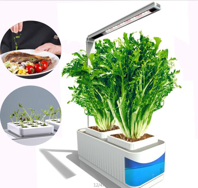 Garden Supplies Smart Hydroponics Indoor Herb Kit Mini Plant Grow LED Light-Growing System With Self-Watering Pots, Seeds Planting Medium
Garden Supplies Smart Hydroponics Indoor Herb Kit Mini Plant Grow LED Light-Growing System With Self-Watering Pots, Seeds Planting Medium