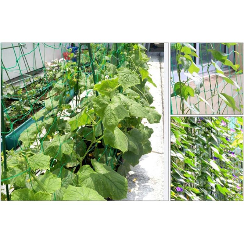 Other Garden Supplies Durable Nylon Trellis Net Netting Plant Support For Climbing Plants Vegetable High Quality Drop