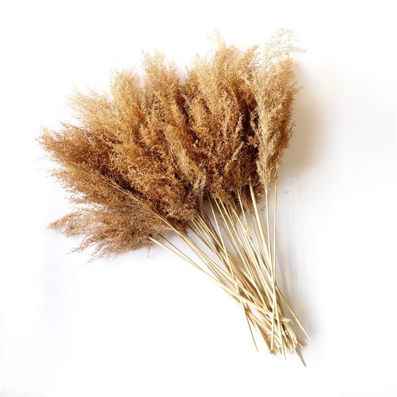 Dried Pampas Grass Decor Wedding Flower Bunch Natural Plants For Home Christmas Decorations 2021 Floral Container Decorative Flowers & Wreat