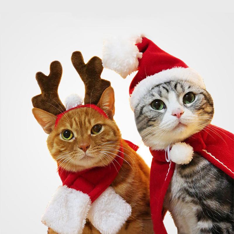 Cat Costumes Christmas Winter Pet Dog Clothes Warm Puppy Santa Red Scarf Hat Head Funny Costume Home Decor
Cat Costumes Christmas Winter Pet Dog Clothes Warm Puppy Santa Red Scarf Hat Head Funny Costume Home Decor