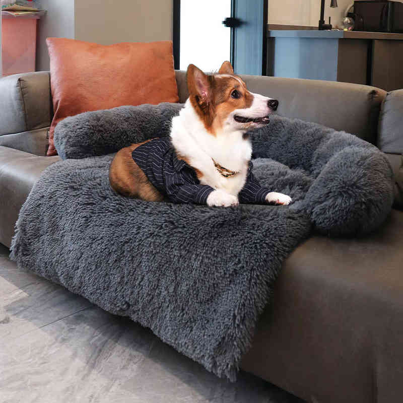 King Dog Bed Sofa Large Fluffy Dogs Pet House Sofa Mat Long Plush Warm Kennel Pet Cat Puppy Cushion Washable Blanket Sofa Cover H1220
King Dog Bed Sofa Large Fluffy Dogs Pet House Sofa Mat Long Plush Warm Kennel Pet Cat Puppy Cushion Washable Blanket Sofa Cover H1220