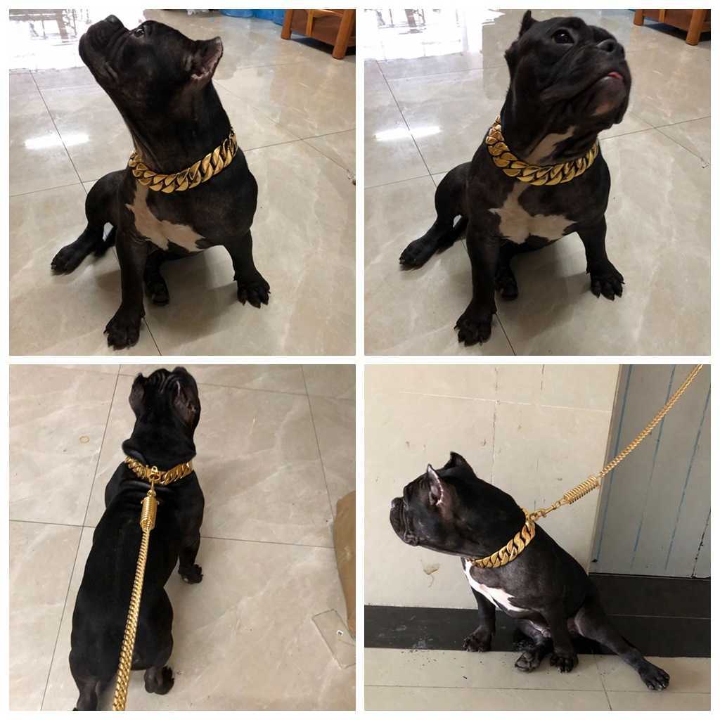 Luxury Dog Chain 32Mm Large Gold Chain Medium and Large Dog Necklace Bully Dog Collar 24K Gold Stainless Steel Pet Collar X0703
Luxury Dog Chain 32Mm Large Gold Chain Medium and Large Dog Necklace Bully Dog Collar 24K Gold Stainless Steel Pet Collar X0703