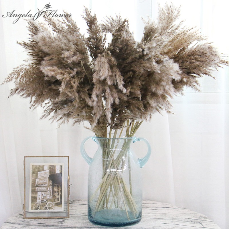 Real decorative fake flower Wholesale Natural Dried Pampas Grass Reed Plants Home Decor Wedding artificial Flowers Bouquet Bunch Materials Feather Phragmites, As a picture
Real decorative fake flower Wholesale Natural Dried Pampas Grass Reed Plants Home Decor Wedding artificial Flowers Bouquet Bunch Materials Feather Phragmites, As a picture