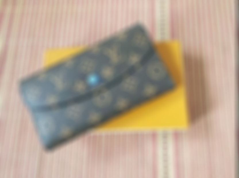Purses Women's Wallets Zipper Bag Female Wallet Purse Fashion Card Holder Pocket Long Women Tote Bags With Box DustBags
Purses Women's Wallets Zipper Bag Female Wallet Purse Fashion Card Holder Pocket Long Women Tote Bags With Box DustBags