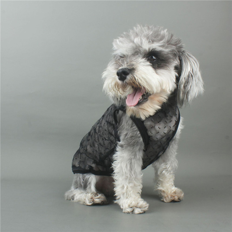 Black Mash Cool Dog Vest Full Classic Letter Fashion Puppy Vests Summer Outdoor Bichon Schneider Apparel
Black Mash Cool Dog Vest Full Classic Letter Fashion Puppy Vests Summer Outdoor Bichon Schneider Apparel