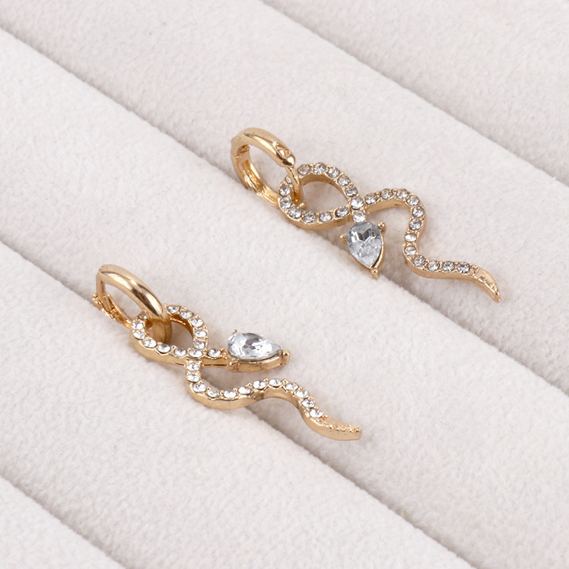 Korean version of personality net red temperament Hoop earrings 2021 new trendy snake jewelry female Women Earring