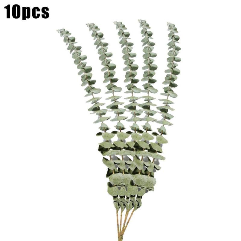 Decorative Flowers & Wreaths 10Pcs Natural Eucalyptus Leaves Dried Flower Wedding Decorate Eucalipto Stems For Home Ornaments DIY Green Deco
Decorative Flowers & Wreaths 10Pcs Natural Eucalyptus Leaves Dried Flower Wedding Decorate Eucalipto Stems For Home Ornaments DIY Green Deco