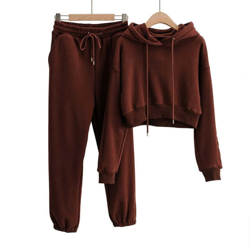DEAT Spring Autumn Women Arrival Fashion Temperament Hooded Long Sleeve Plush Sweatshirt Pants Two Piece Set RD790 210709