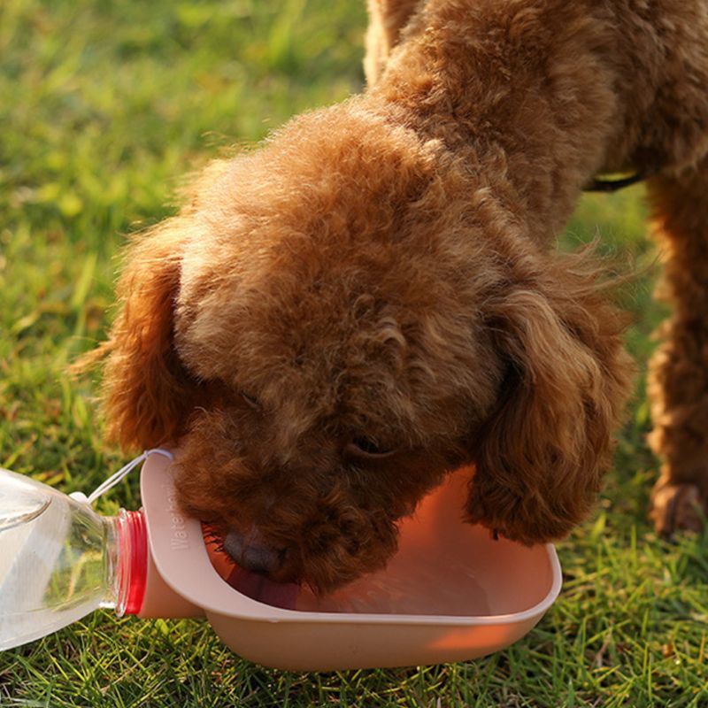 Pets Water Dispenser Portable Outdoor Travel Dogs Drinking Bottle Feeder Come