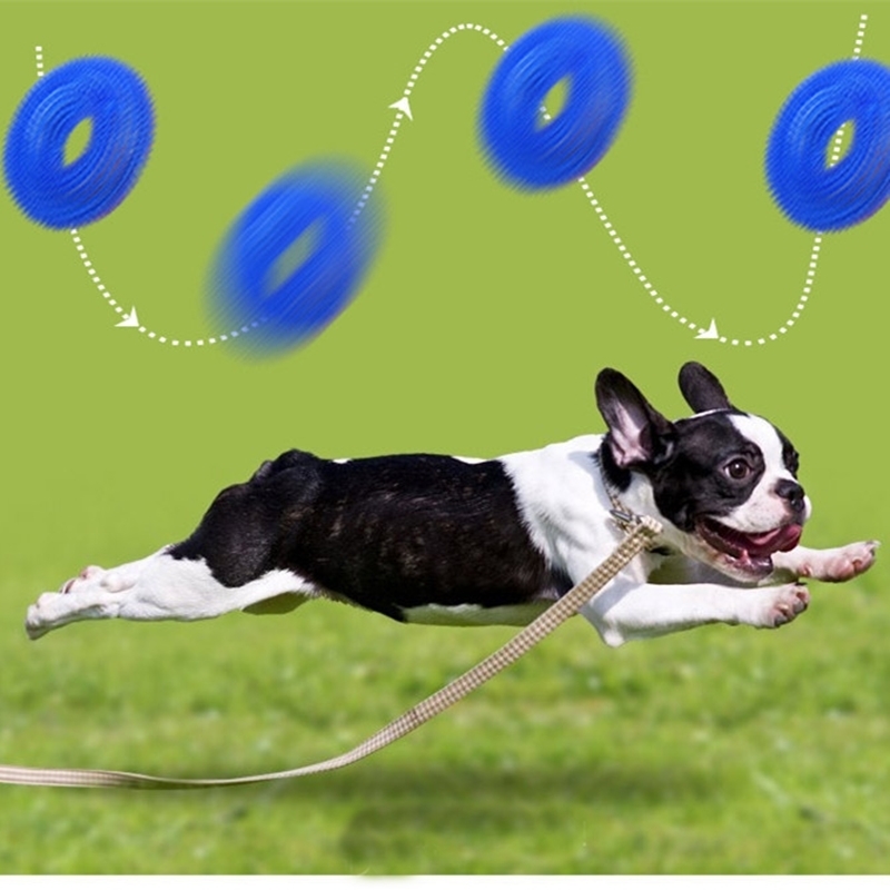 Dog Chew Toys For Aggressive Chewers Non-Toxic Natural Rubber Tough Squeaky Ring Bite Resistant Toys Fun To Chew Chase And Fetch