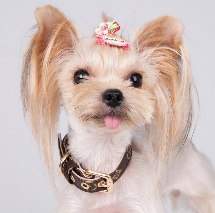 Stylish and Versatile Adjustable Puppy Necklace Waterproof PU Leather Leash with Letter Motifs for Furry Friends
