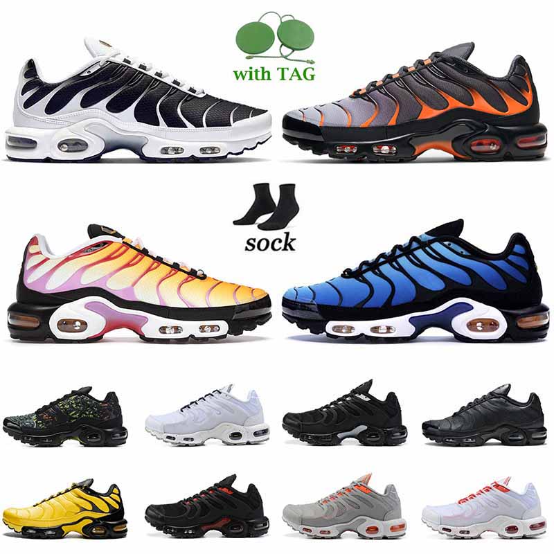 Large Size US 12 Mens Plus TN Oreo Running Shoes Sherbert Hyper Blue Grey Orange Triple Black White Worldwide ATLANTA Off Sunset Womens TNS Se Sneakers Chaussure, A77 sherbert 36-40
Large Size US 12 Mens Plus TN Oreo Running Shoes Sherbert Hyper Blue Grey Orange Triple Black White Worldwide ATLANTA Off Sunset Womens TNS Se Sneakers Chaussure, A77 sherbert 36-40