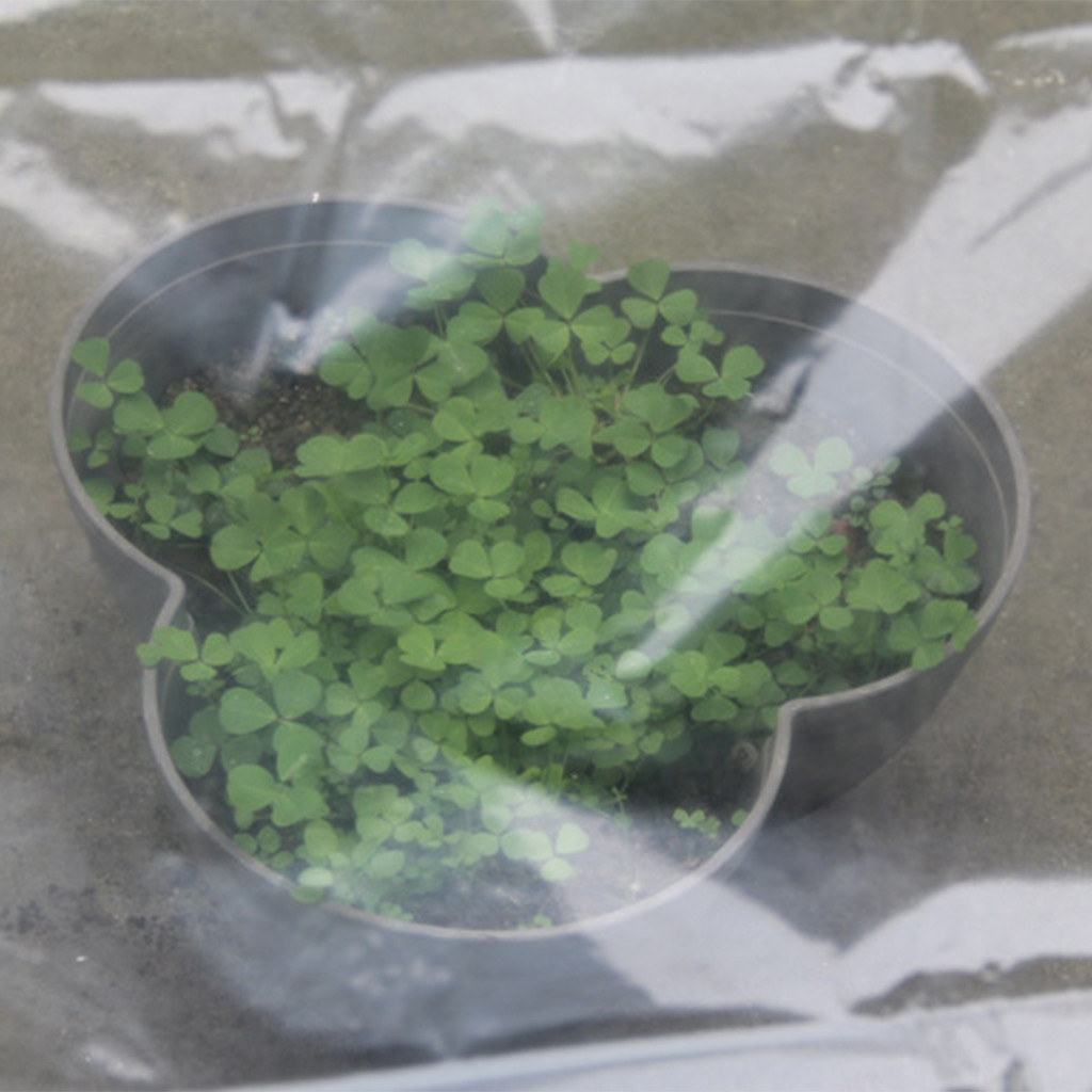 Clear plastic film resistant strong greenhouse uv of transparent plastic film covering the extra greenhouse film