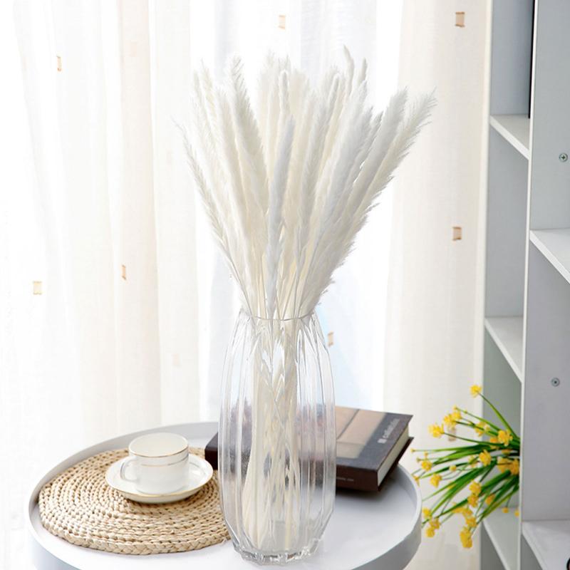Vases 15Pcs Dried Reed Flower Arrangement Natural Pampas Grass Phragmites Plants Bouquet For Home Decoration Wedding Party