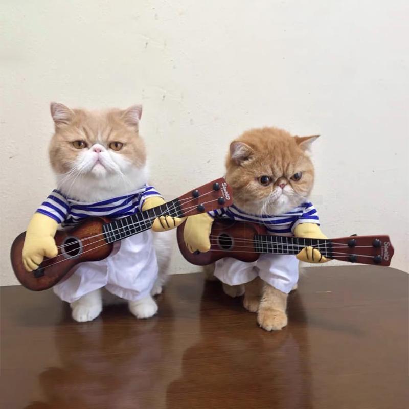 Cat Cosplay Pet Playing Guitar Cowboy Cute Costumes Pirate Things Fancy Kitty Funny Dog Hat Accessories Outfit
Cat Cosplay Pet Playing Guitar Cowboy Cute Costumes Pirate Things Fancy Kitty Funny Dog Hat Accessories Outfit