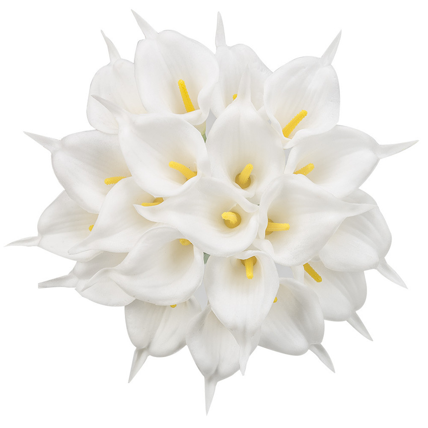 White Real Touch Artificial Flower Calla Lily Faux Floral Party Wedding Flowers Home Garden party Decoration
White Real Touch Artificial Flower Calla Lily Faux Floral Party Wedding Flowers Home Garden party Decoration