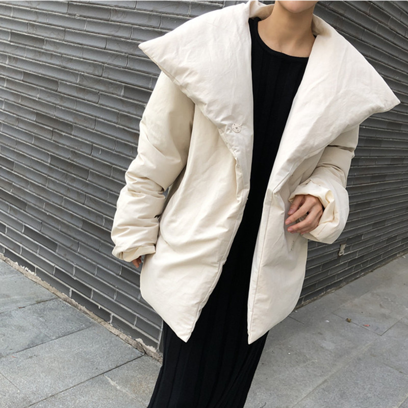 downs Autumn and Winter Down Jacket Women Two Color Turn-down Collar Loose Simple Female Short Coat, Black
downs Autumn and Winter Down Jacket Women Two Color Turn-down Collar Loose Simple Female Short Coat, Black
