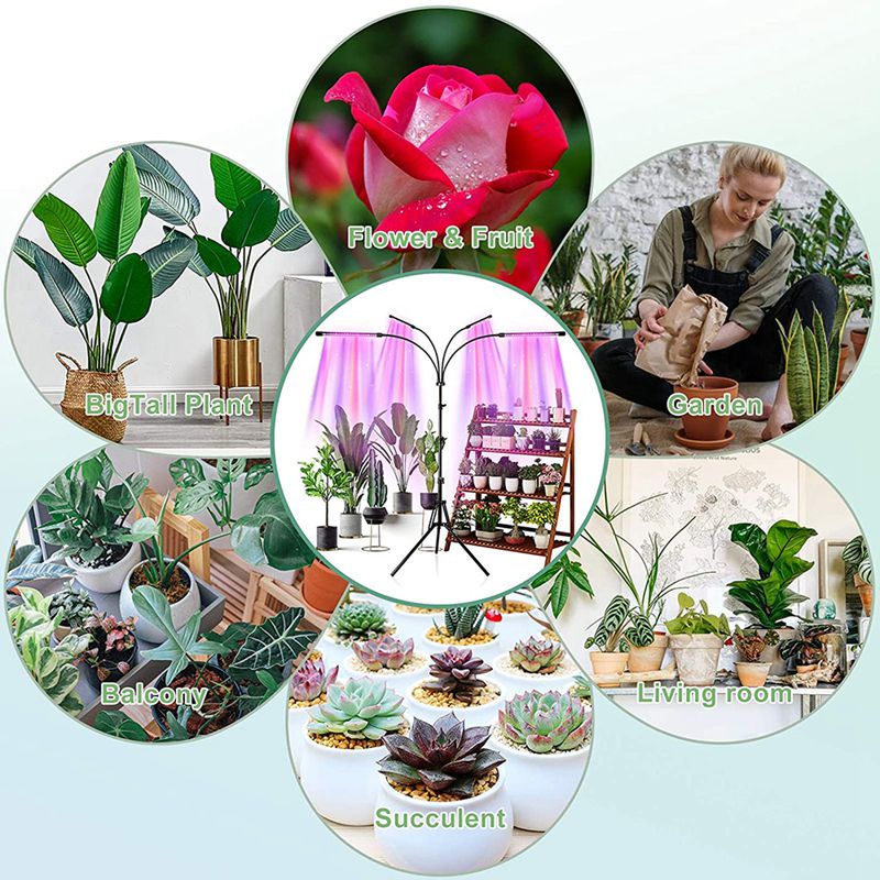 Upgrade 80LEDS Grow Light for Indoor Plants Full Spectrum 4 Head Plant Lights Growing Lighting with 4/8/12H Timer Tripod Adjustable 15-60inch