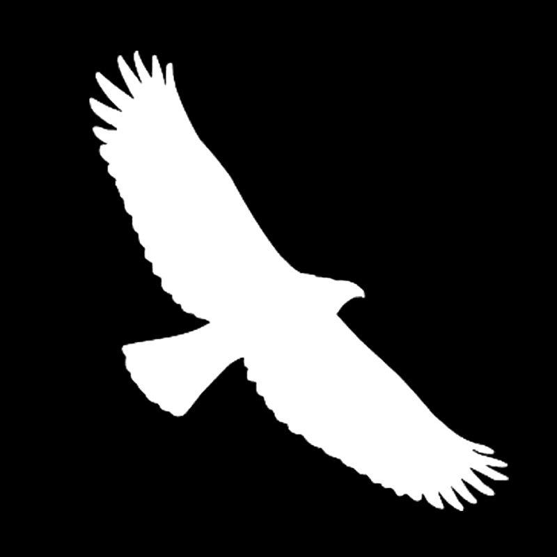 9*10CM TRIBAL EAGLE BIRD Cartoon Reflective Car Stickers And Decals Motorcycle Car Styling Black