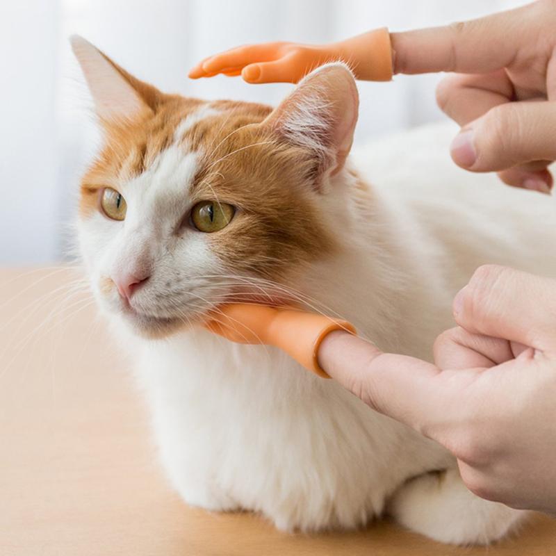 Pcs Finger Hands Cartoon Funny Cat Toy Creative Sleeve Toys Small Hand Model Halloween Gift
Pcs Finger Hands Cartoon Funny Cat Toy Creative Sleeve Toys Small Hand Model Halloween Gift