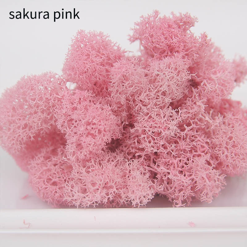 Eternal Life Moss Multicolor Living moss 10g DIY Flower Material Garden Home Decoration Gift Box Supplies Wedding Party Decor