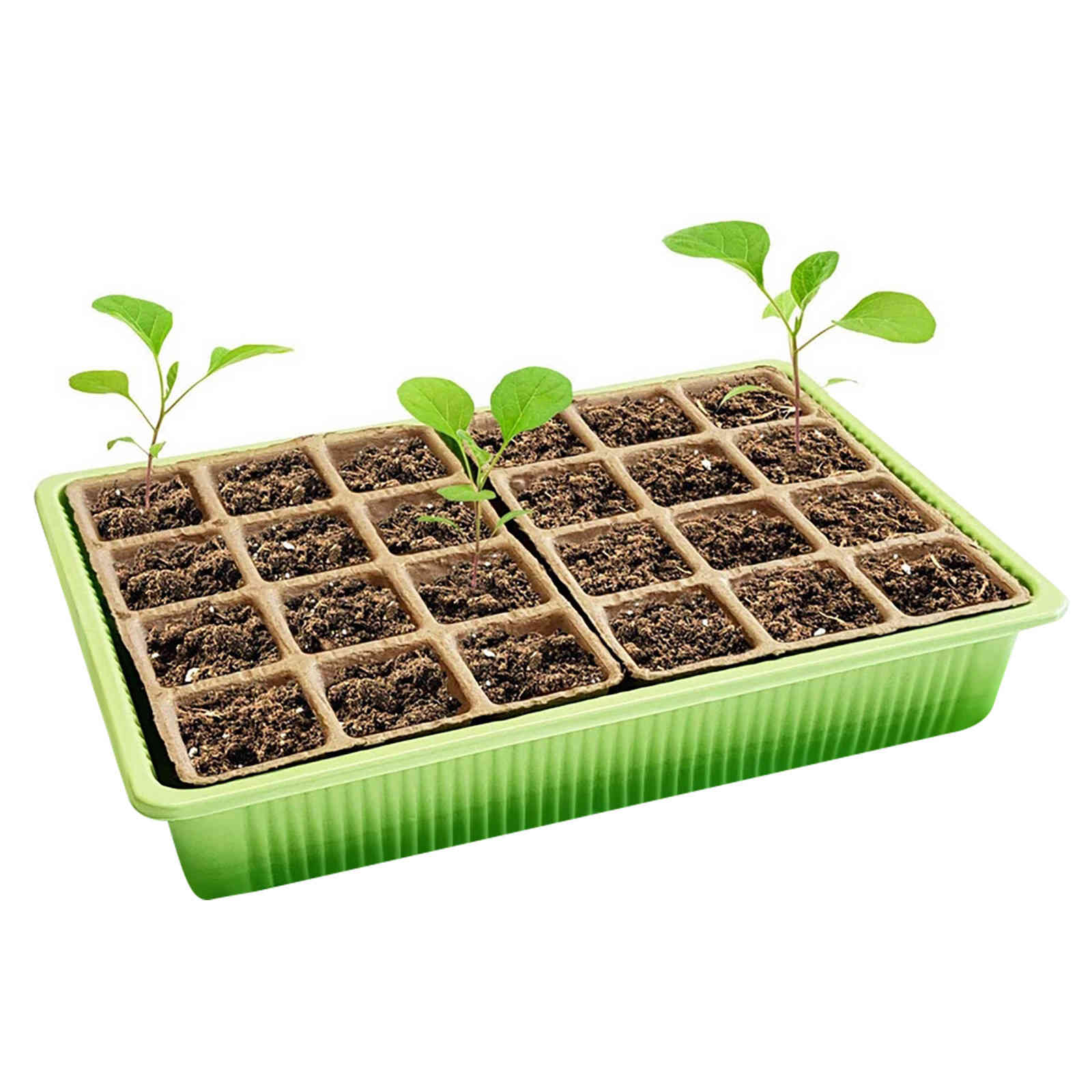 Garden nursery pots 24 cells ga rdening mini respitable lids plastic germination box plastic germination garden nursery accessories