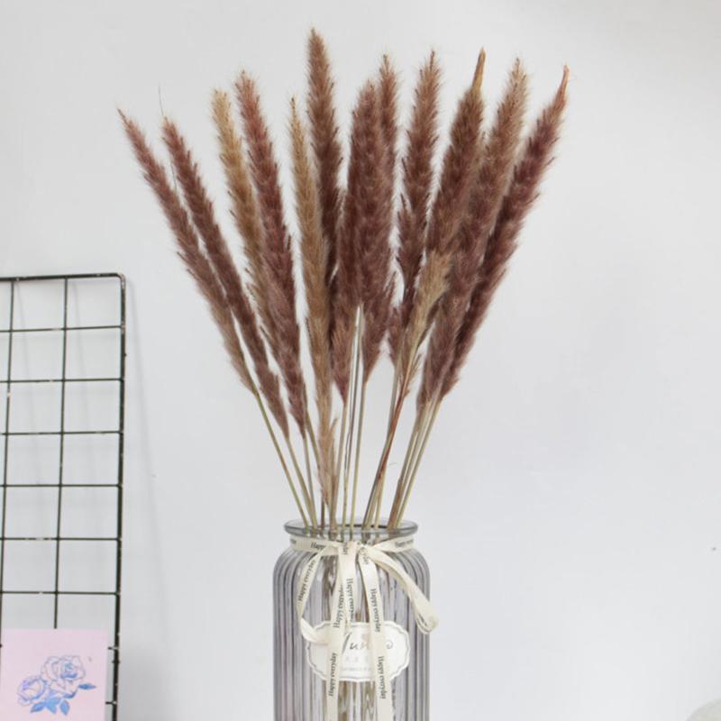 Vases 15Pcs Dried Reed Flower Arrangement Natural Pampas Grass Phragmites Plants Bouquet For Home Decoration Wedding Party