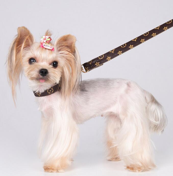 Stylish and Versatile Adjustable Puppy Necklace Waterproof PU Leather Leash with Letter Motifs for Furry Friends