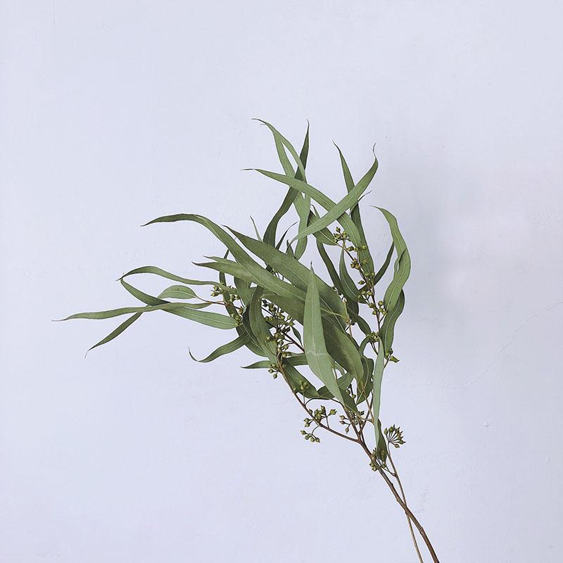 Bouquet Eucalyptus Cotton Pampas Grass Natural Dried Flowers Desk Decoration Centerpieces Table Accessories Po Ddecor Decorative & Wreaths